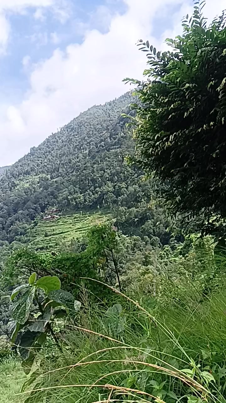 @Gita Sharma Dhakal