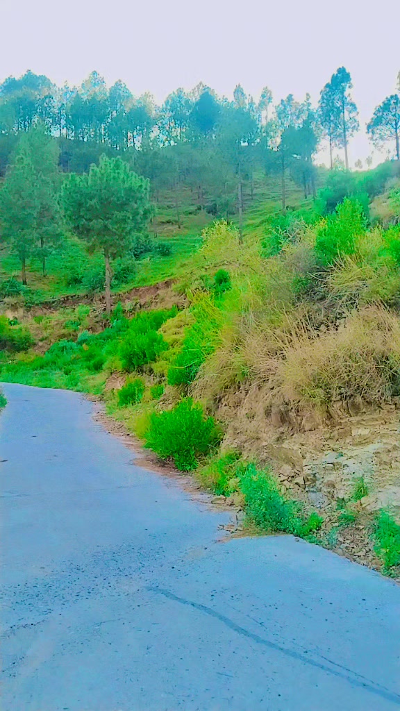 @Musa Bhai65