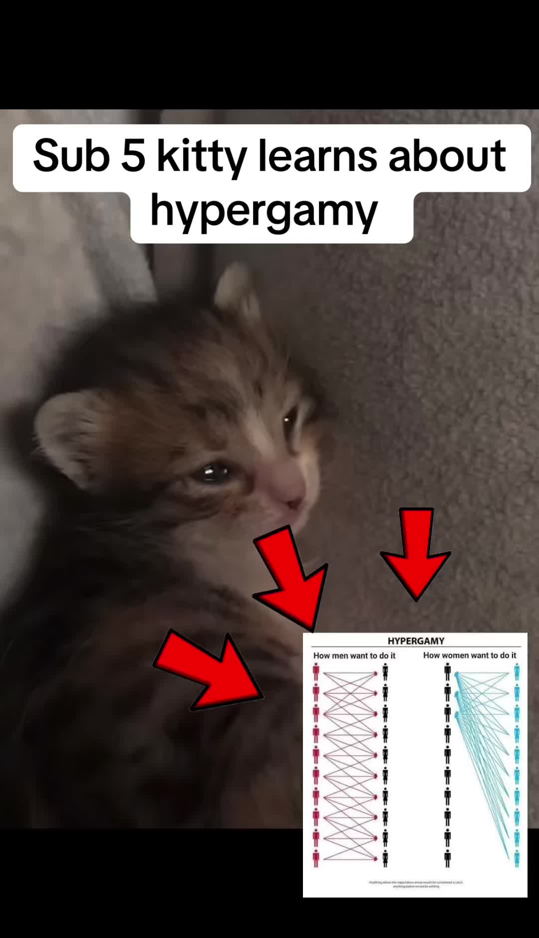 @TLK