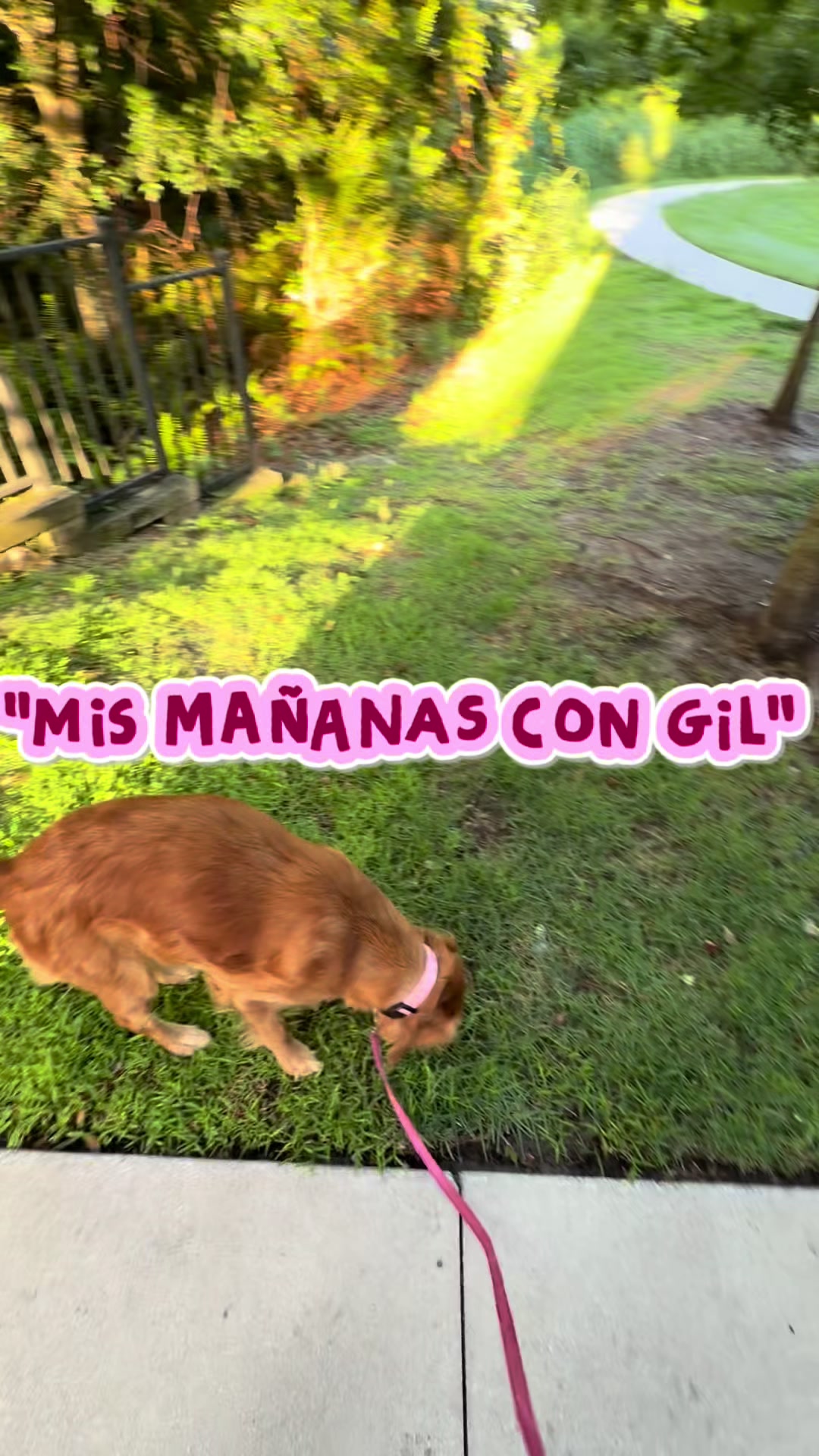 @Gi 🍒