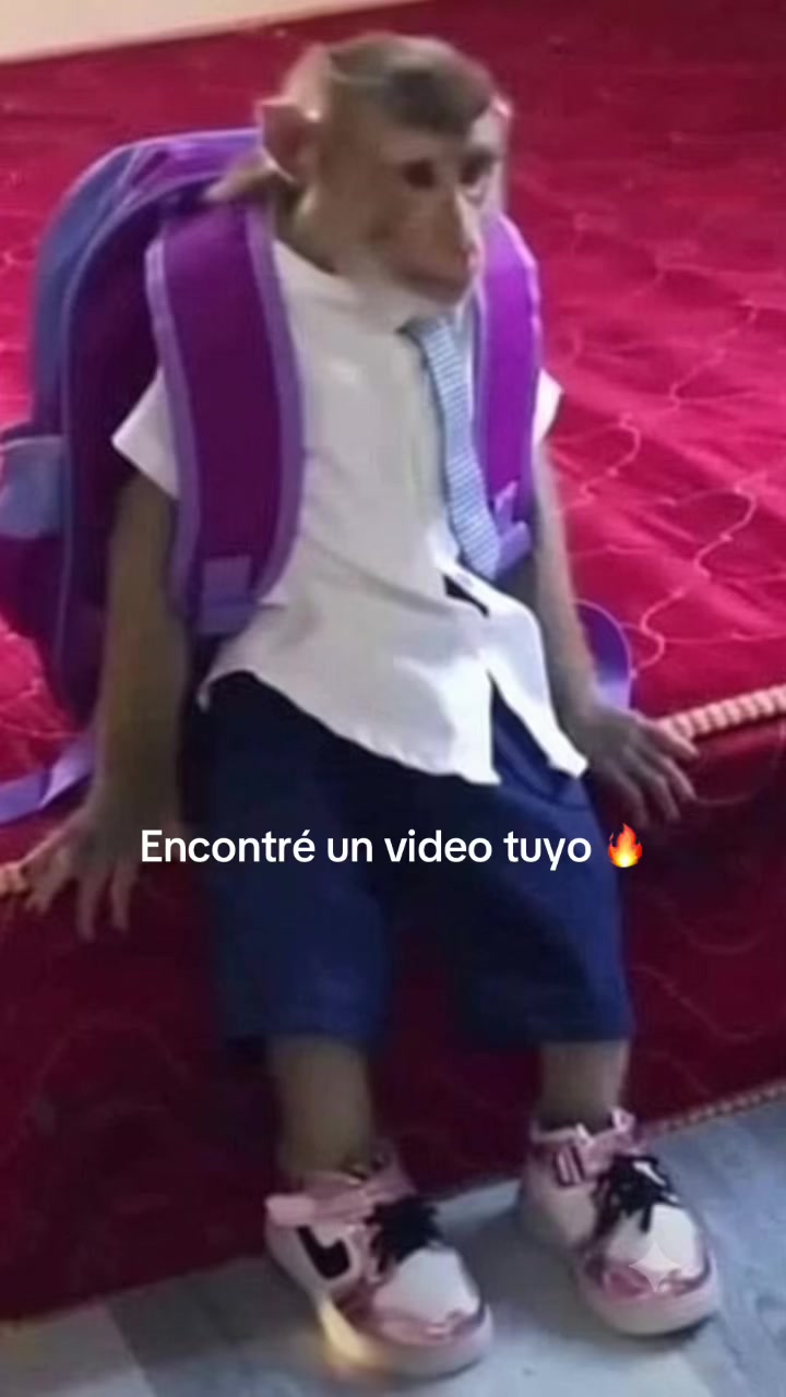 @RabPesito 🔥