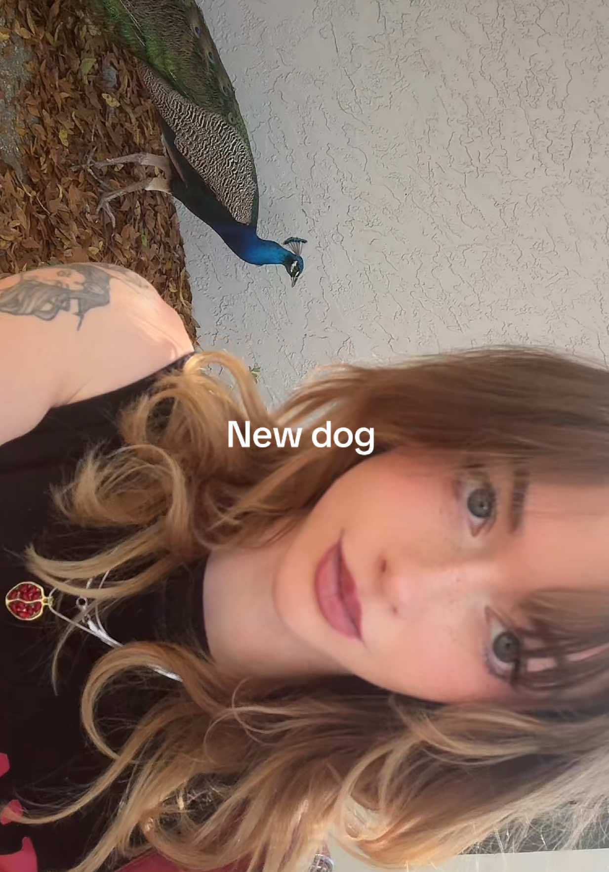 @DD 🦢🪞🪬🗝️☕️