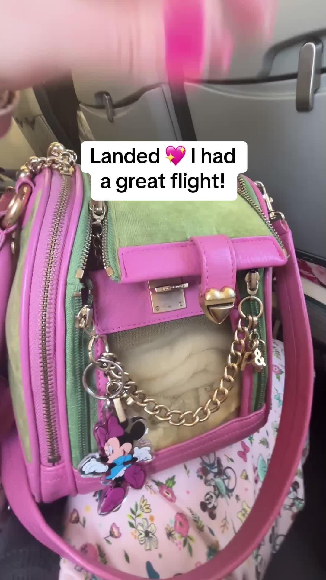 @Tinytiffytheteacupchihuahua
