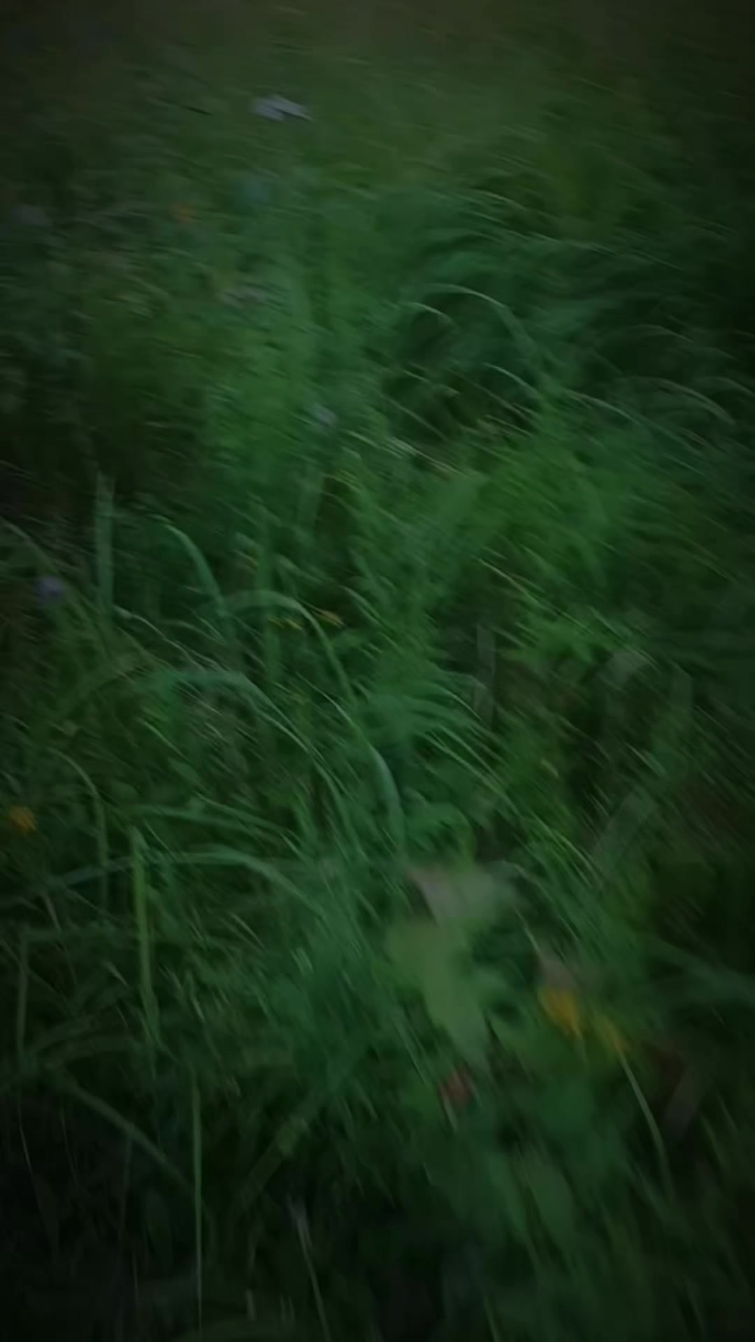 @Kristina2000