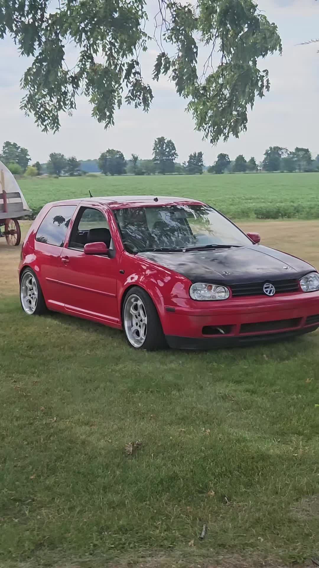 @musTURDstang