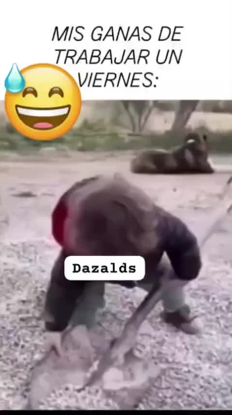 @@DazaLds
