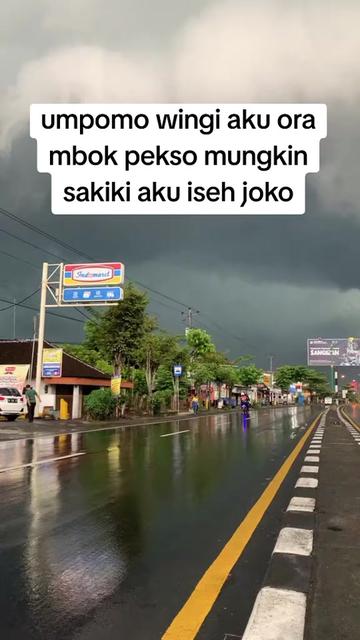 @v-niz