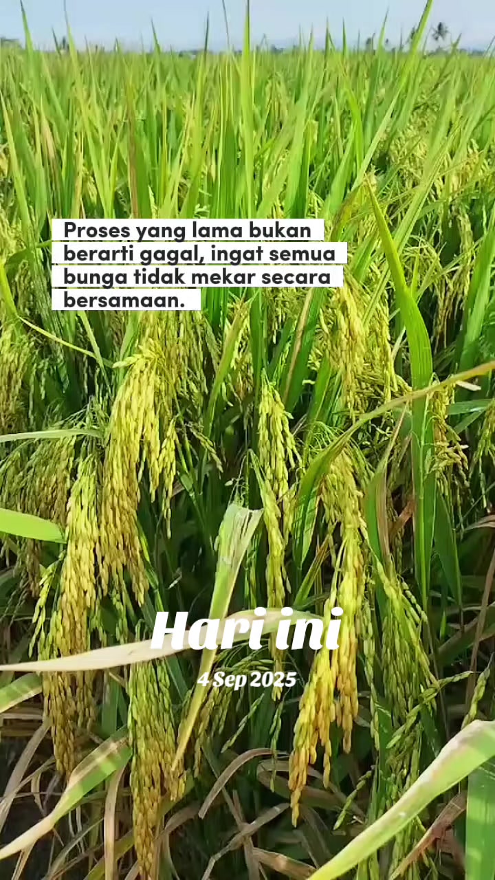 @PT. BHD INDONESIA