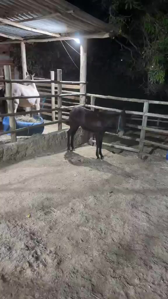 @claudenir Pereira Pinto