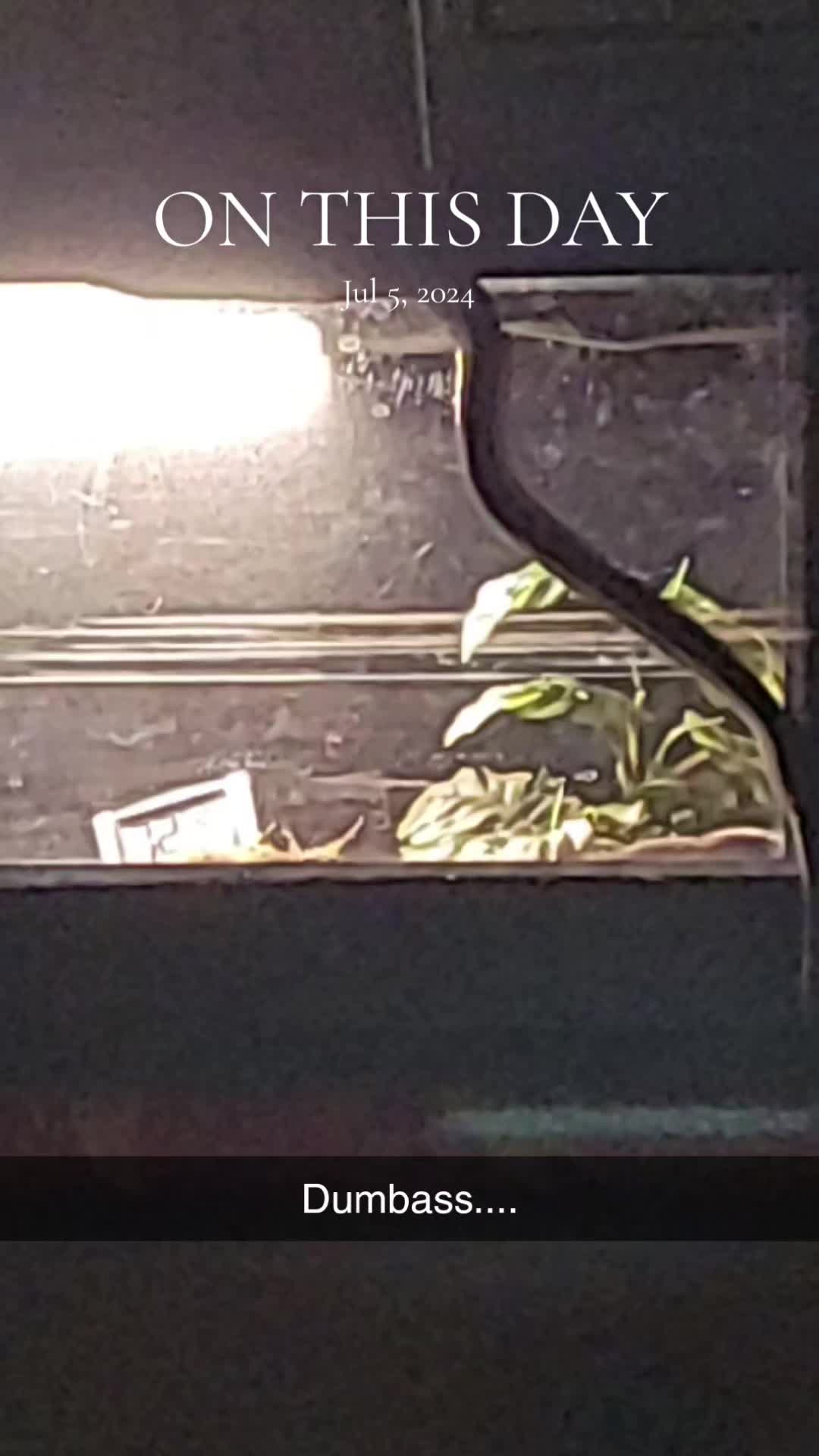 @TJ