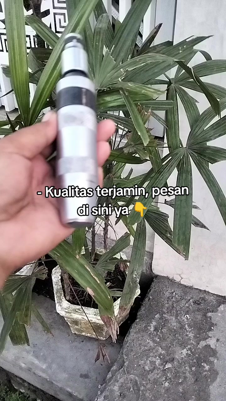 @Ayuu