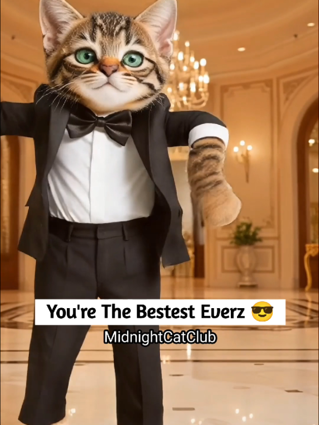 @MidnightCatClub