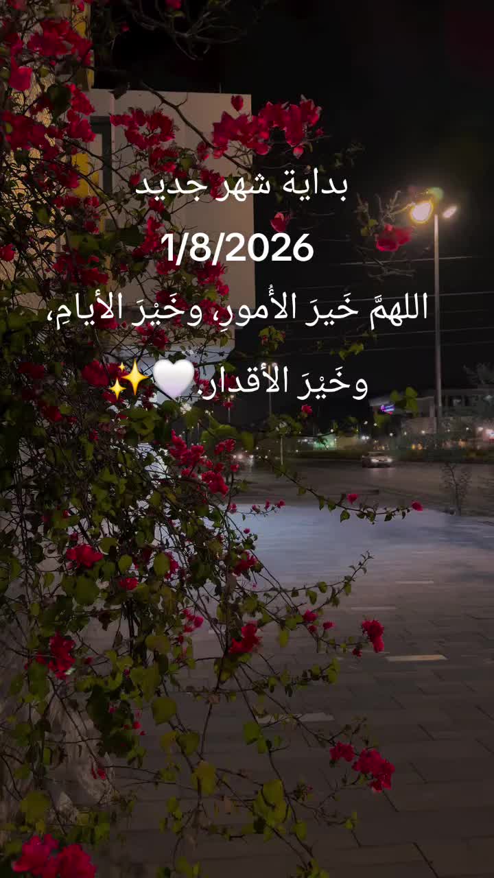 @Nour🌺🌸