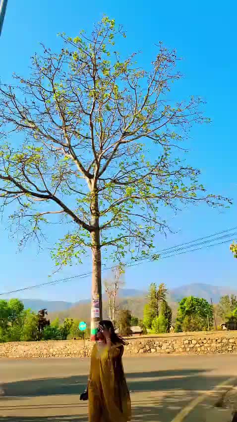 @karishama❣️