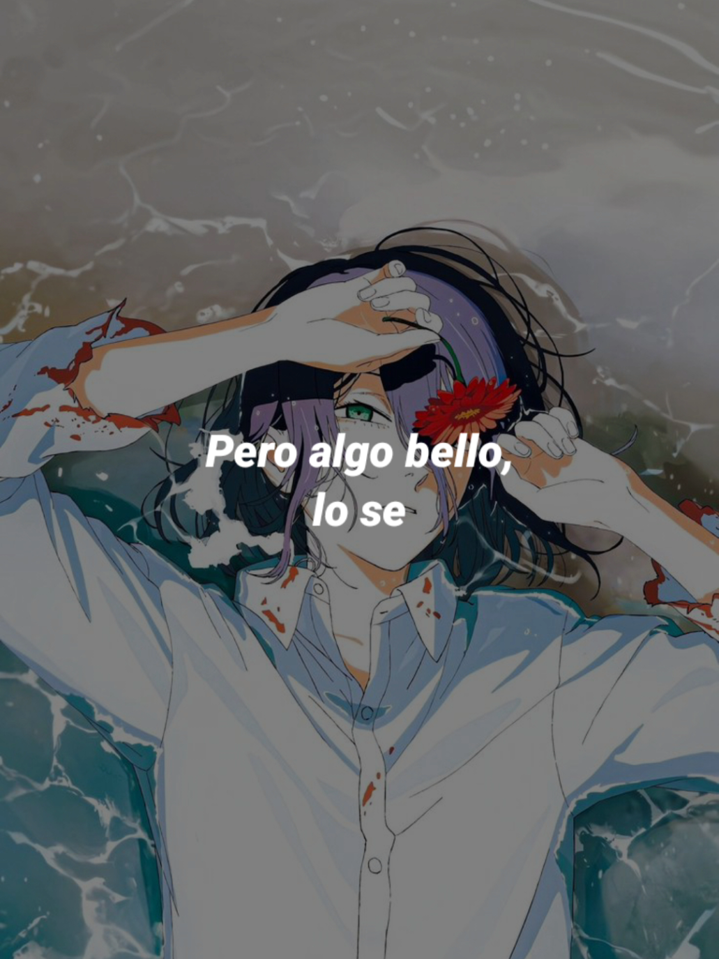 @✨️Angel✨️