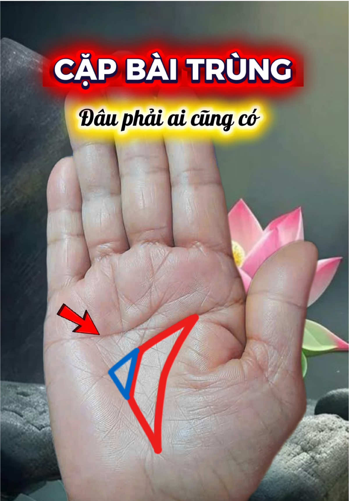 @T&Acirc;M TƯỚNG MỆNH