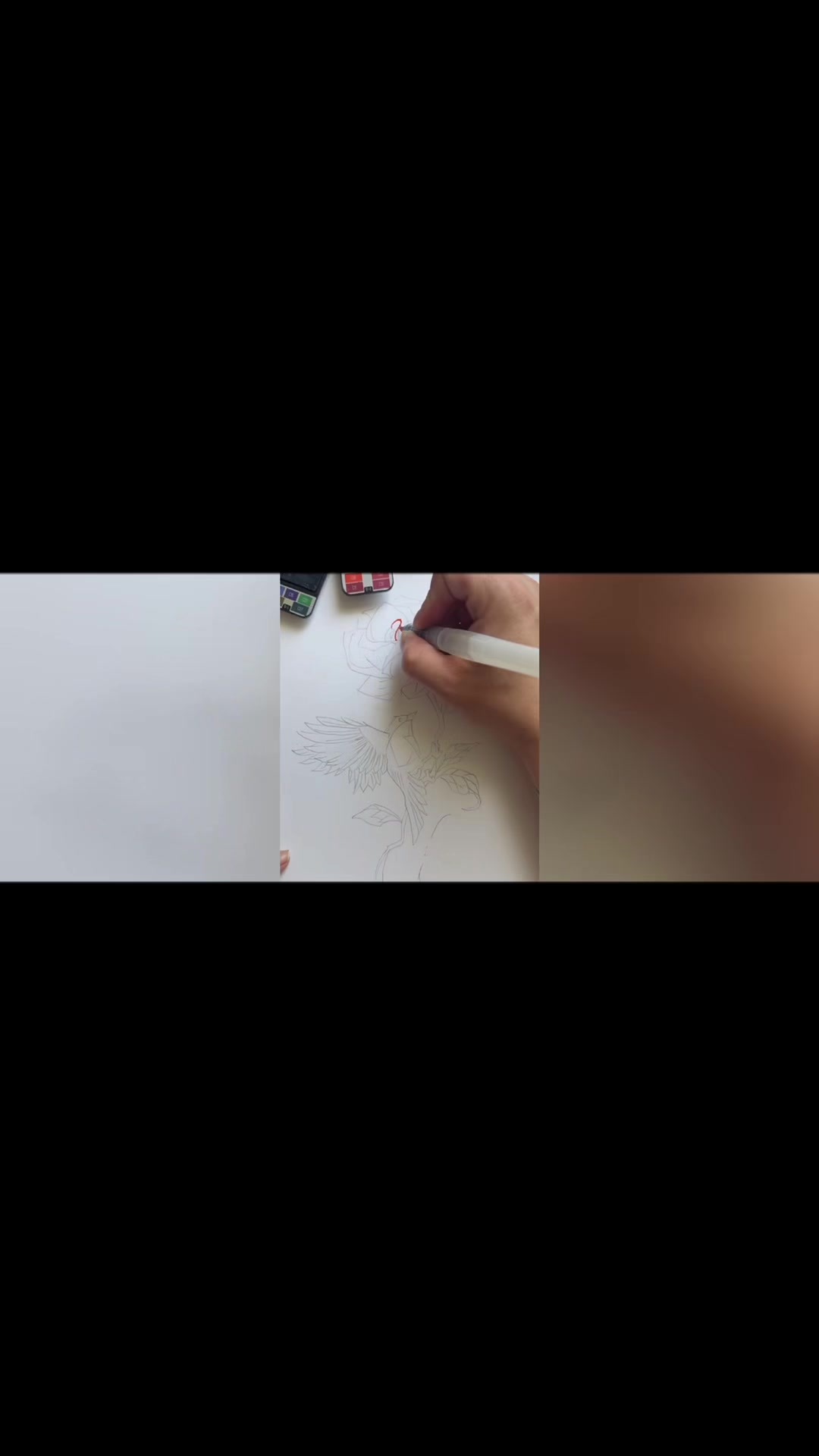 @Ninthxotic