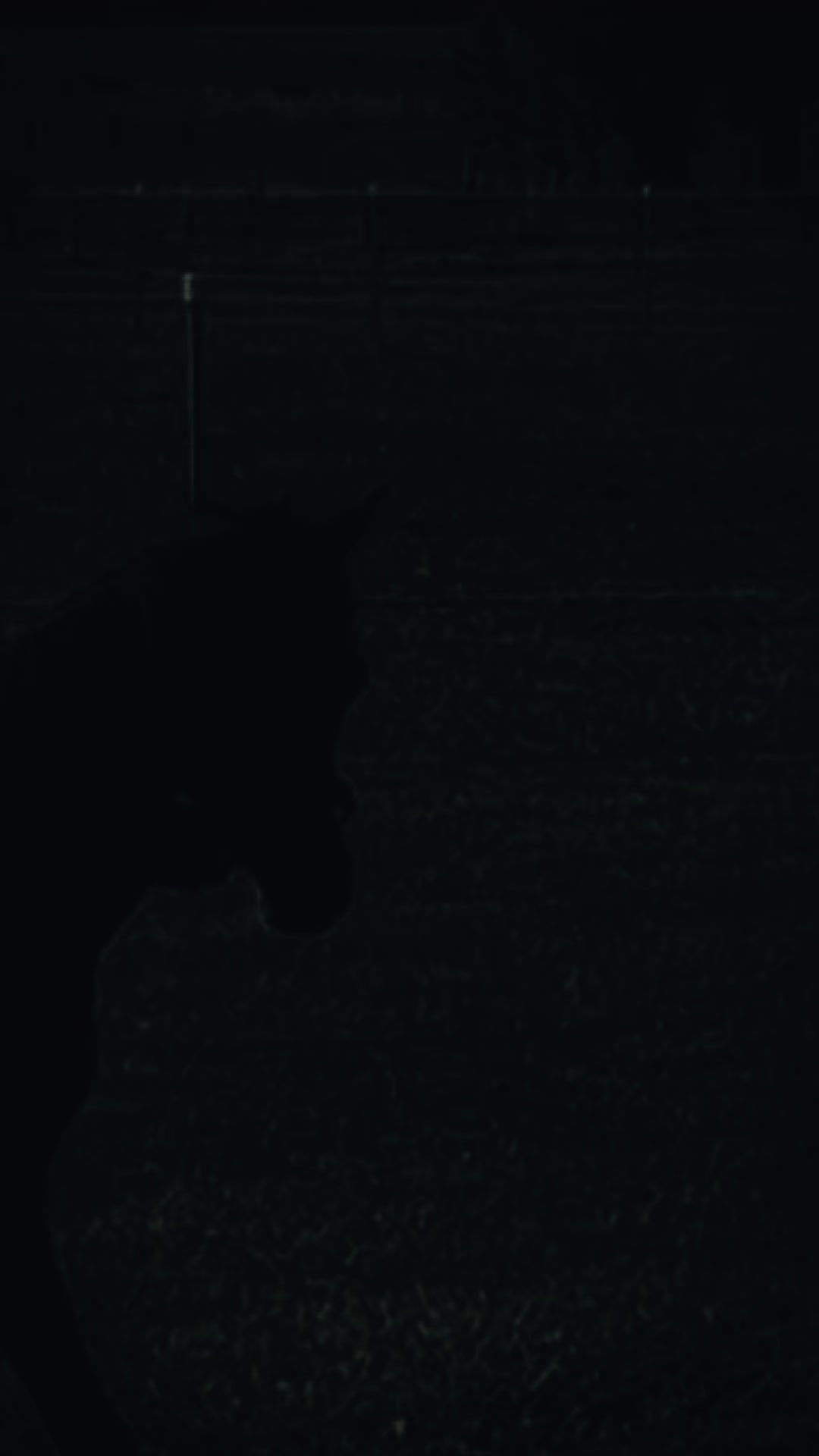 @RV Park Show Ponies
