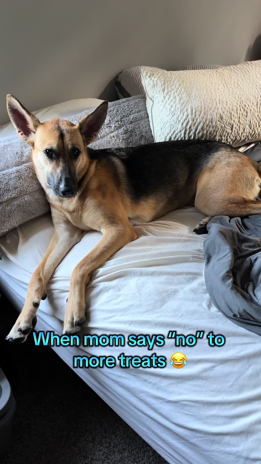 @Kiki.GSD
