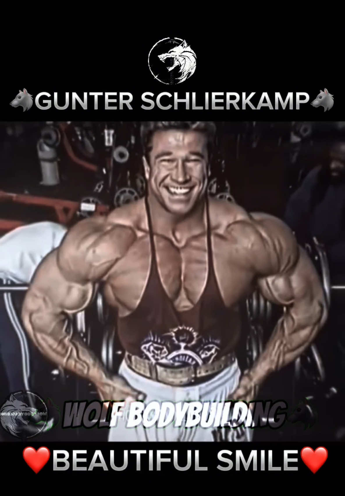 @wolfbodybuilding
