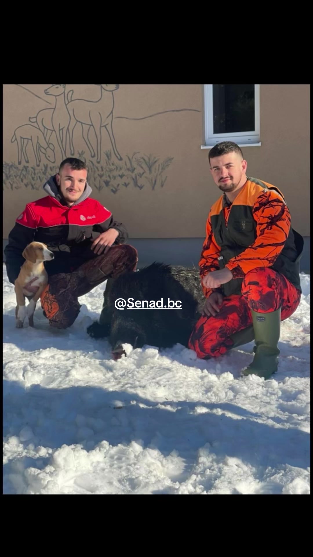 @🇧🇦BAĆO🇧🇦