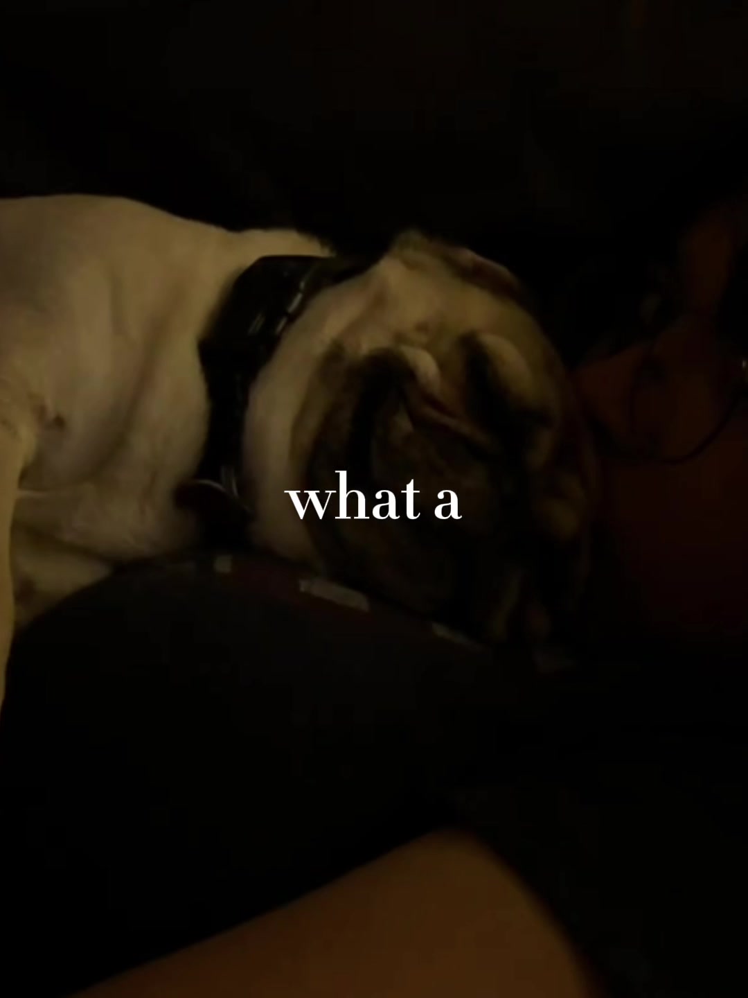 @Johnrbb