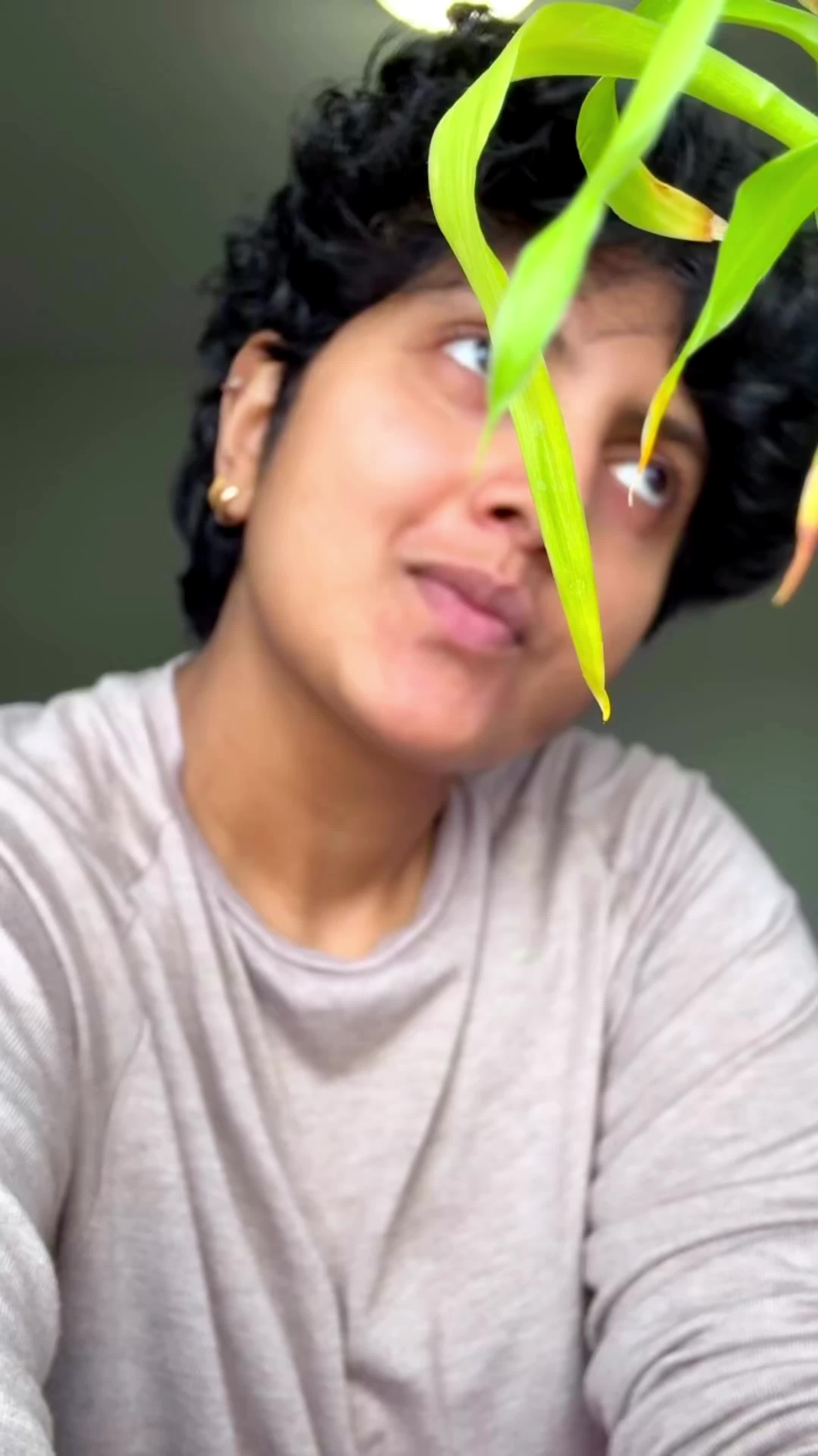 @Pinkuz