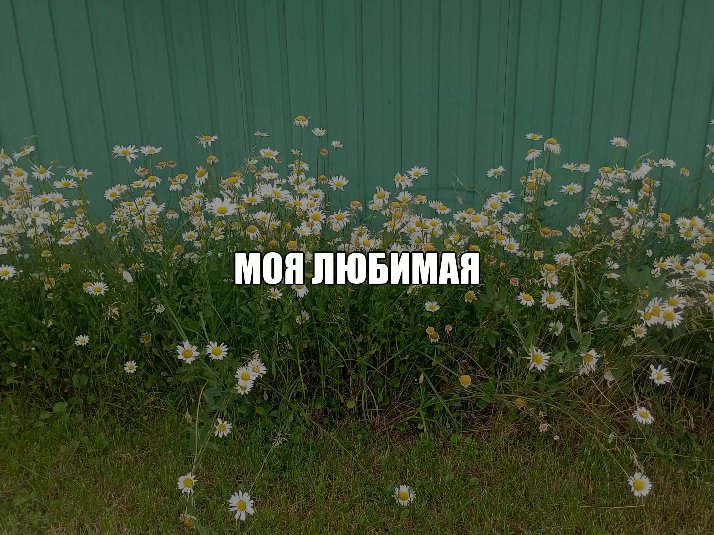 @ikraposev