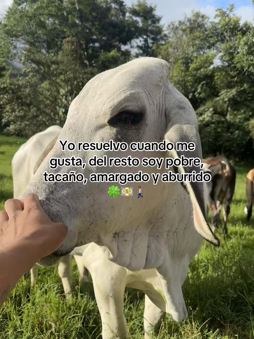 @lo mejor