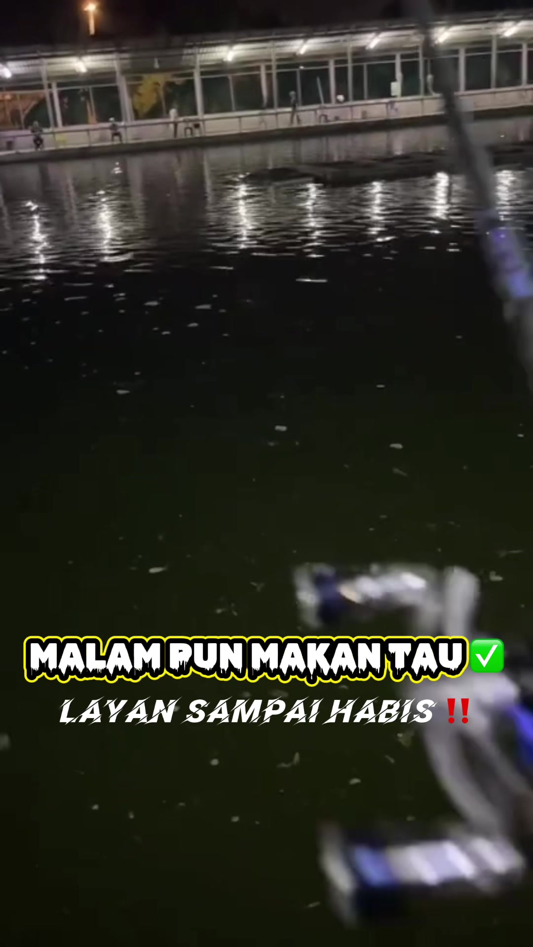 @M Z Reel 🎣