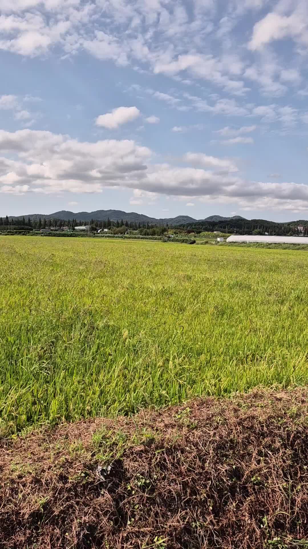 @곽용민