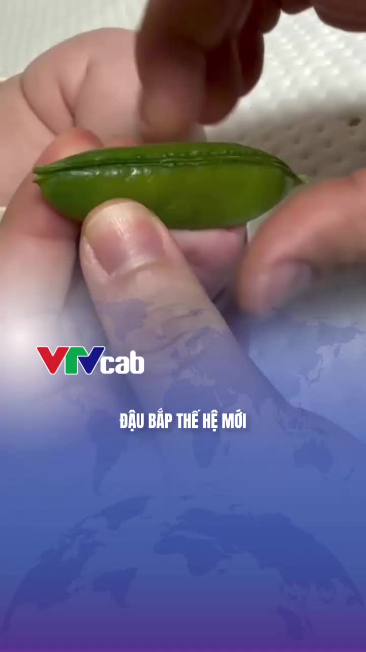 @VTVcab Trending - Giải tr&iacute;