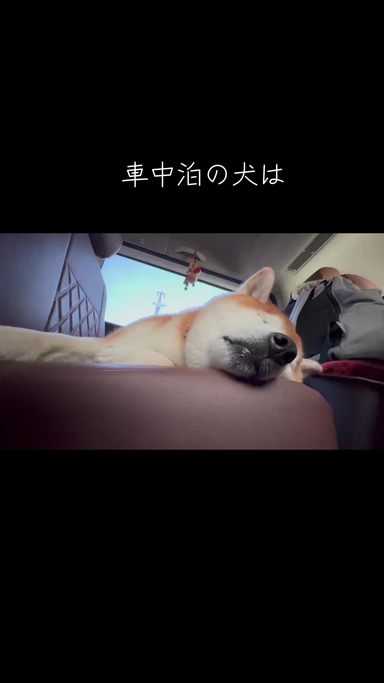 @nana0209 🪽🥴