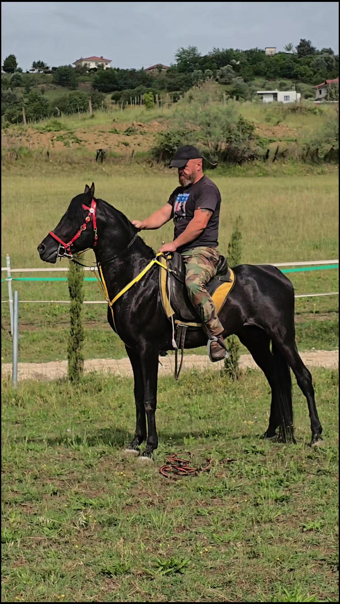 @Horse Training Center Albania