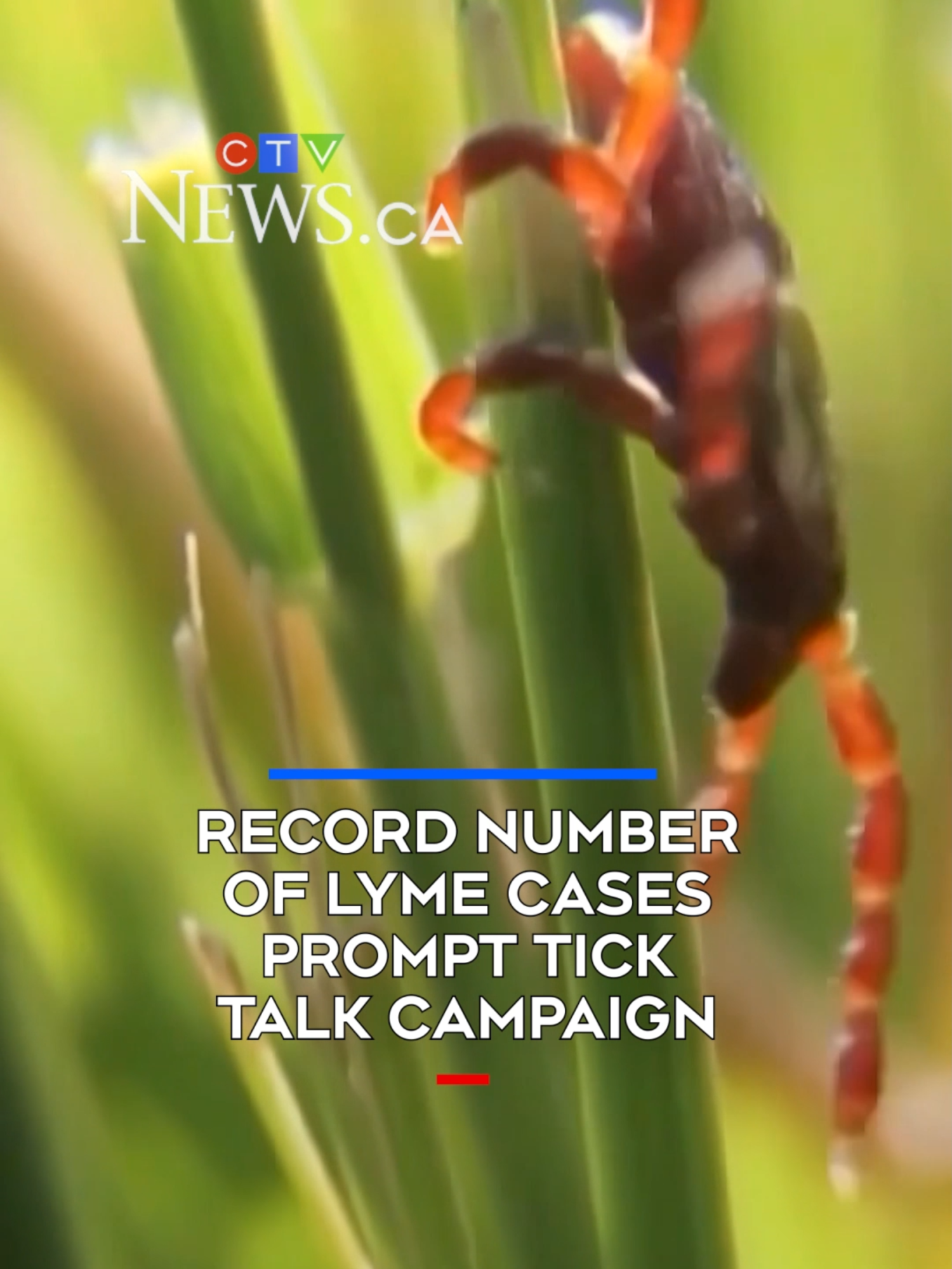 @CTVNews