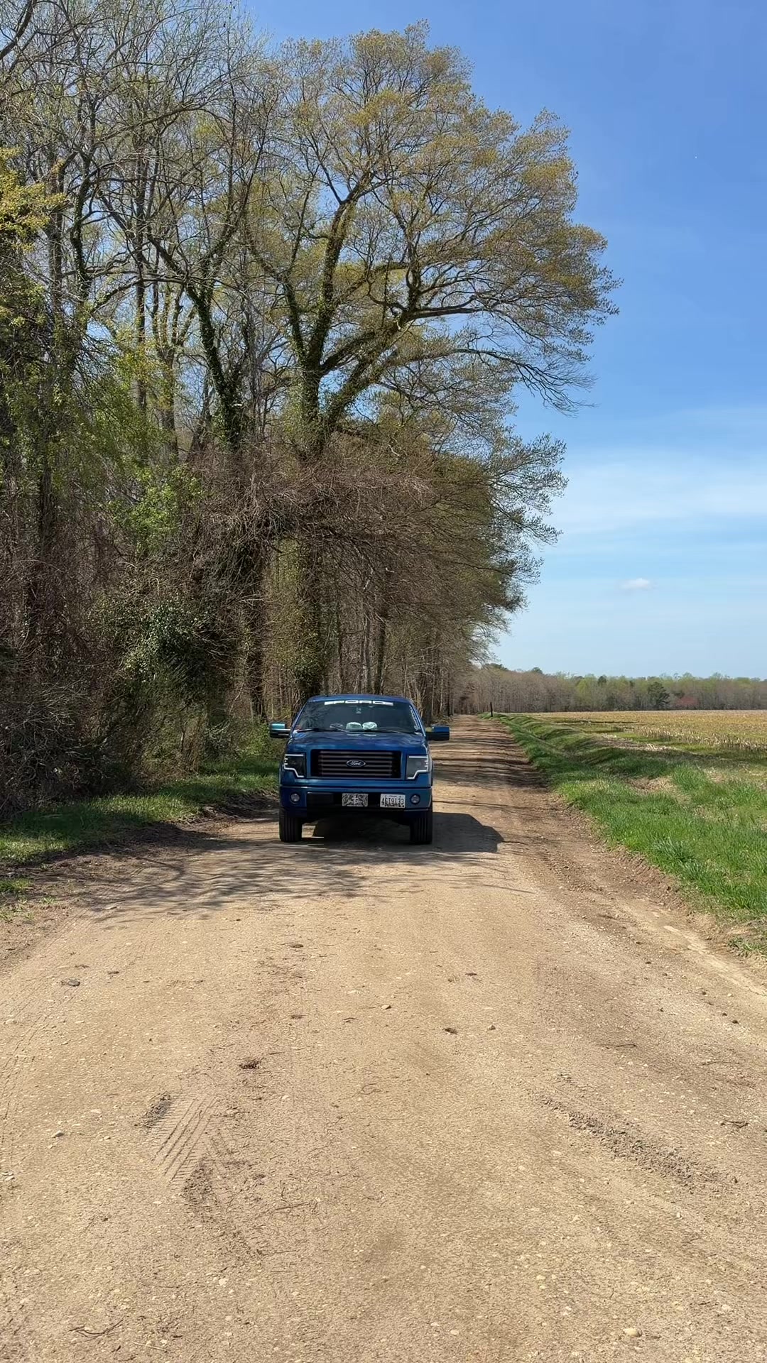 @that4.6bluebird