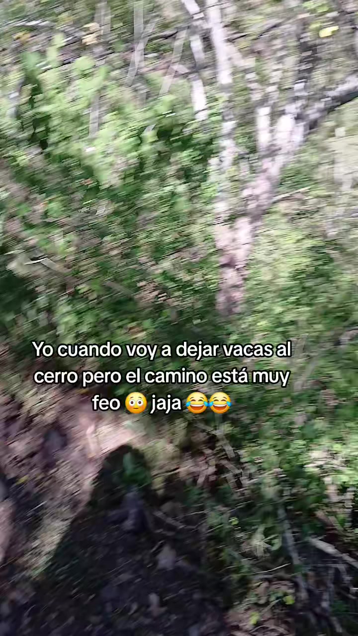 @Brisa Romero 🎀❤️🔥