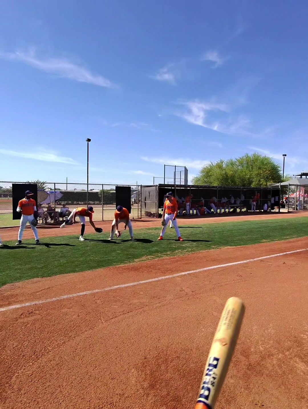 @EloscarinHTX