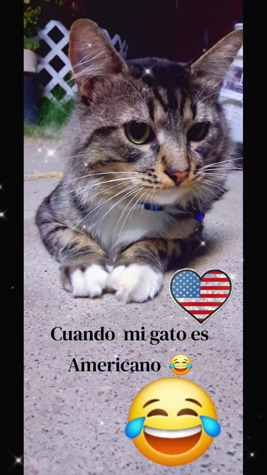 @Argelia Ramirez