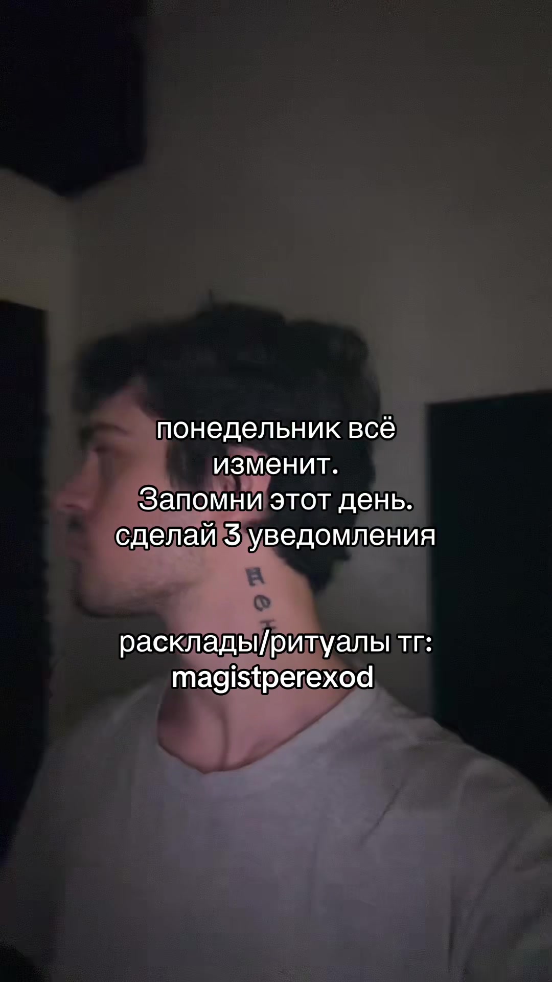 @Тг➜ magistperexod
