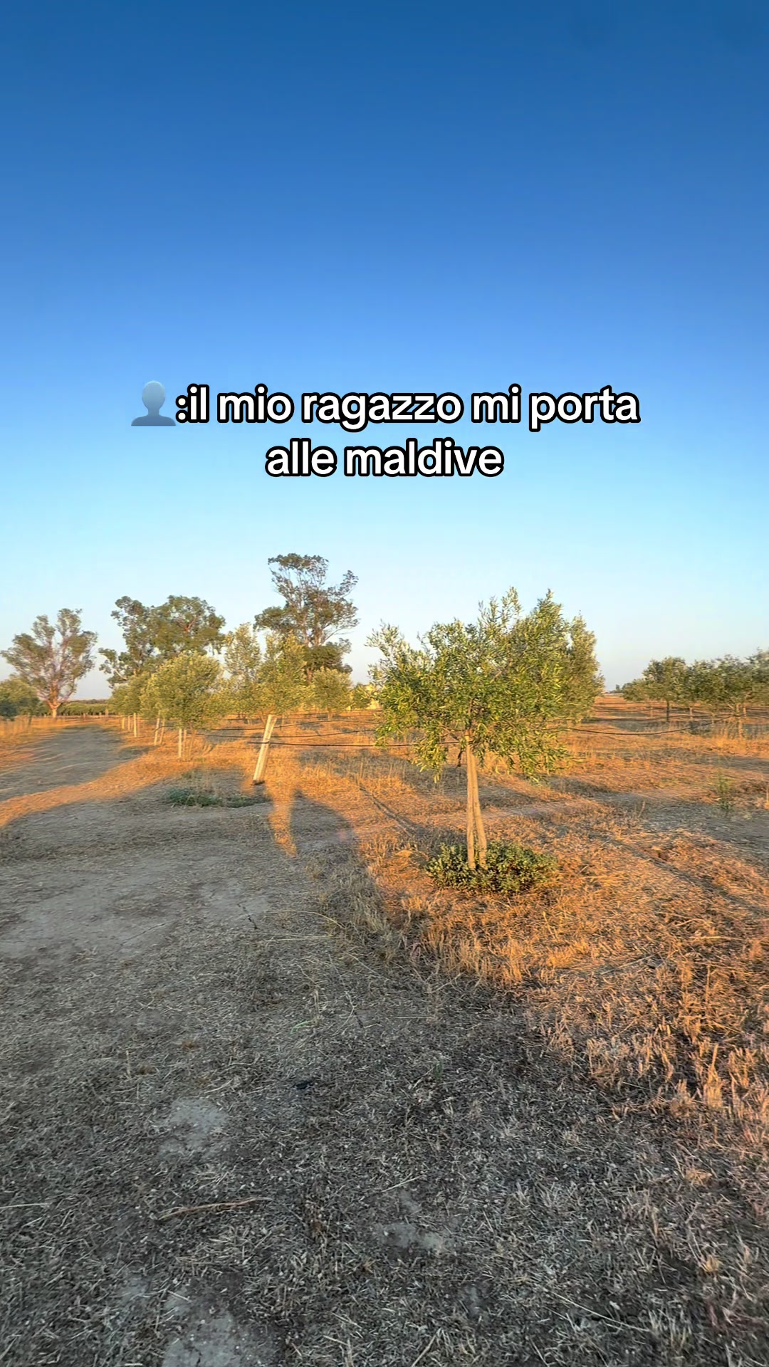 @alessia