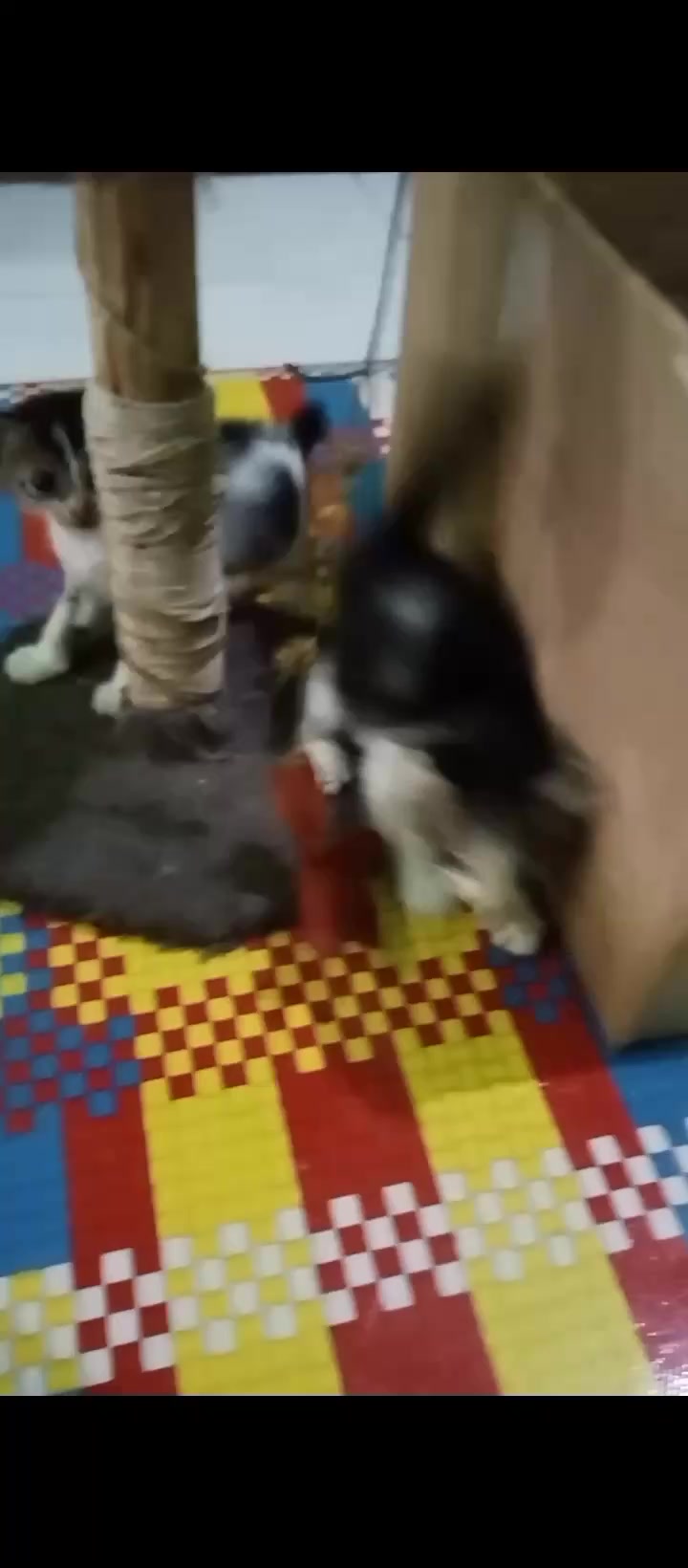@Tie