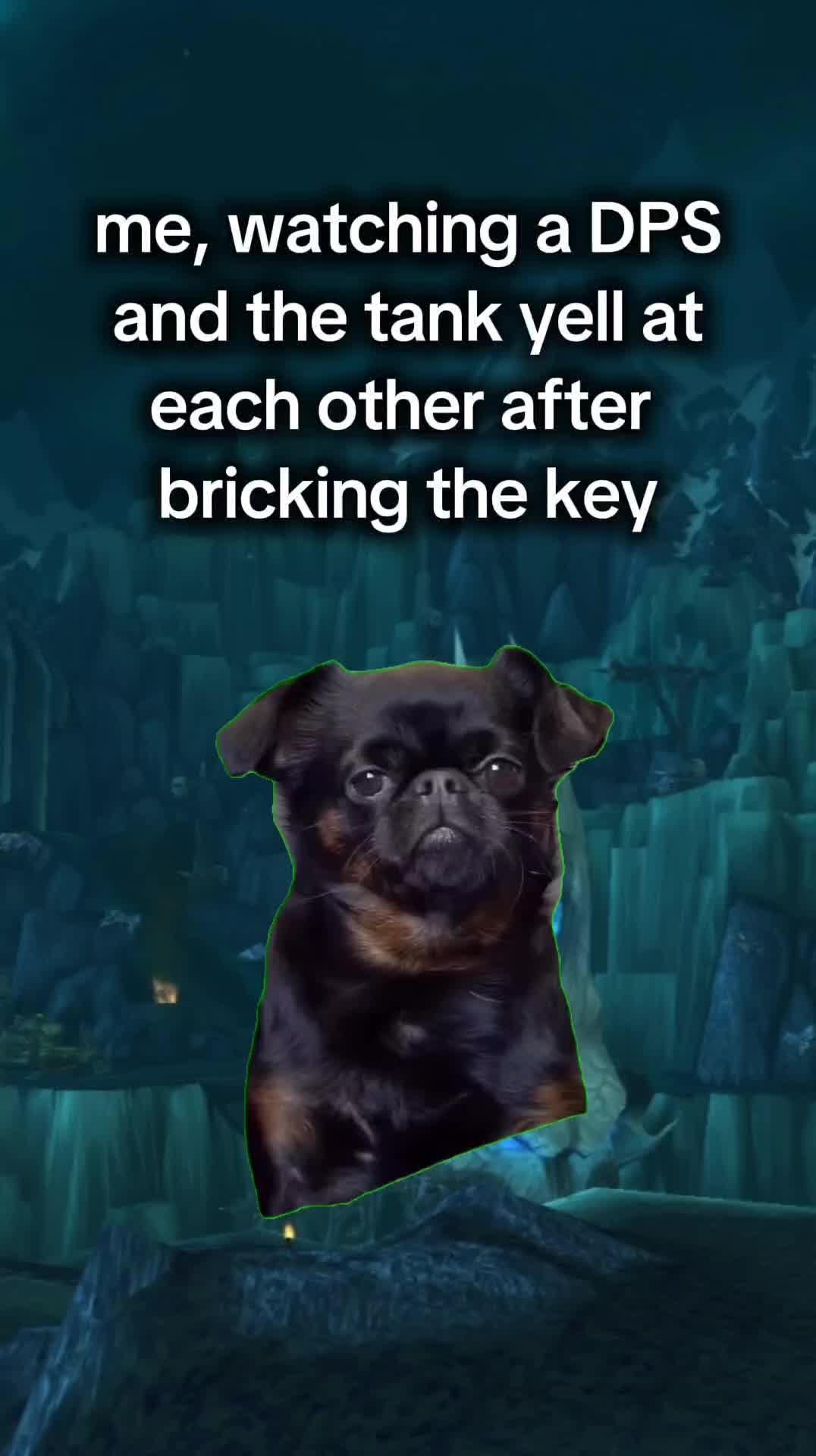 @Veelia in Azeroth