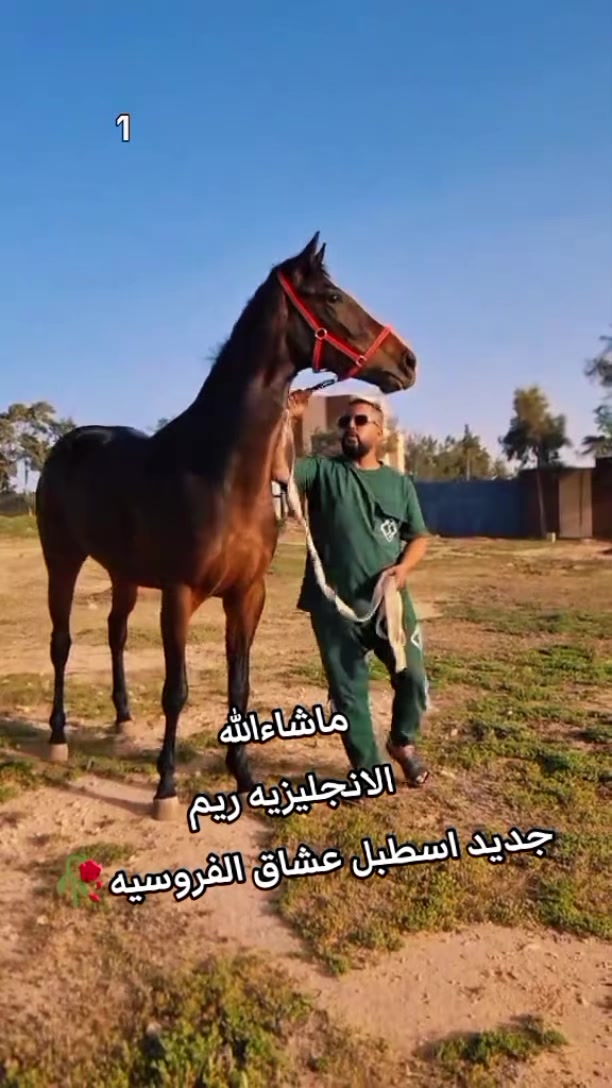 @چياب الاصايل