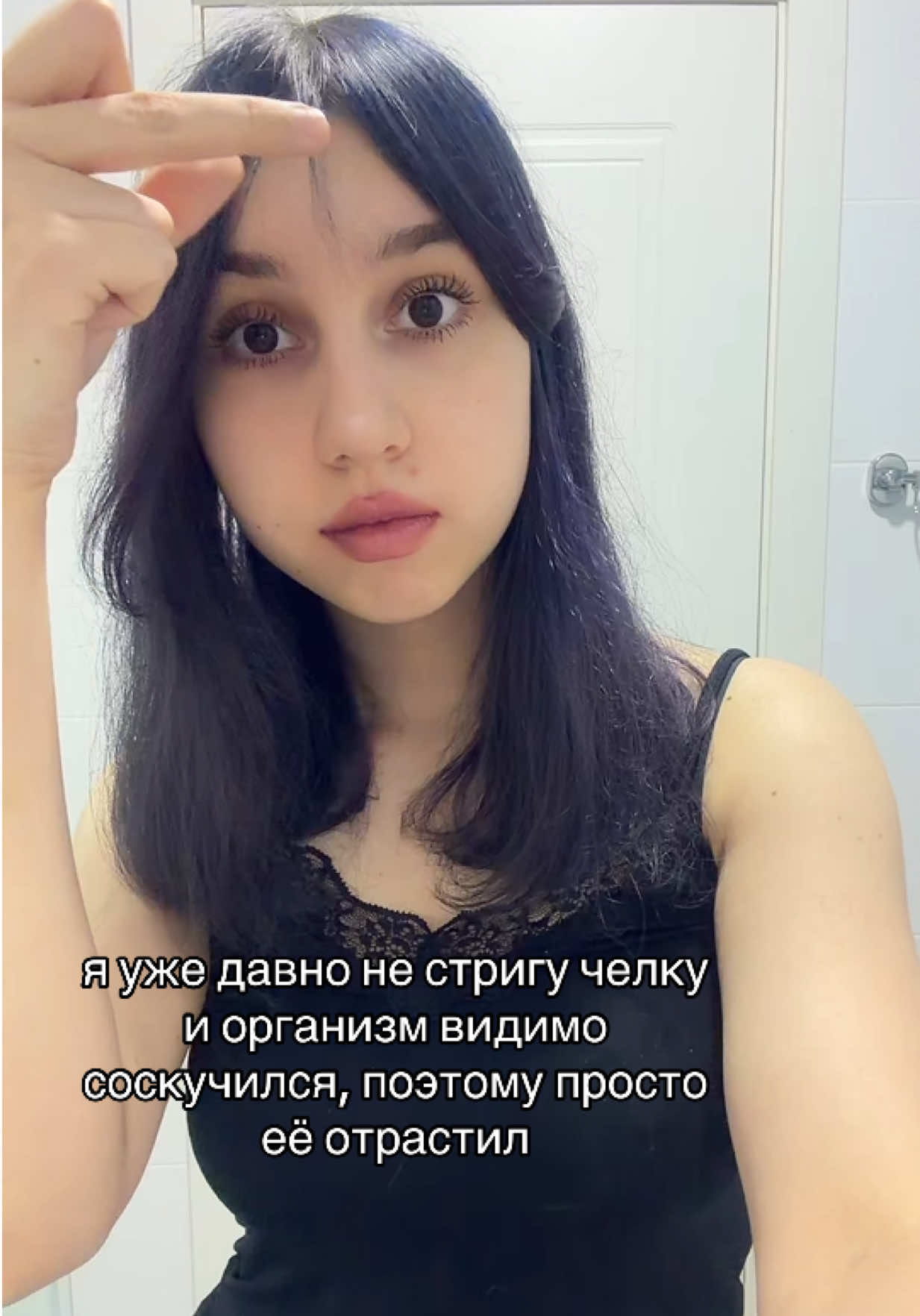@к Вашим услугам