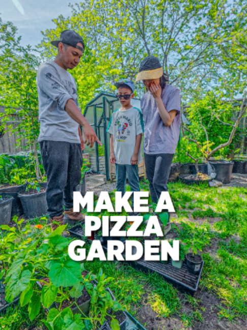 @Planted in the Garden