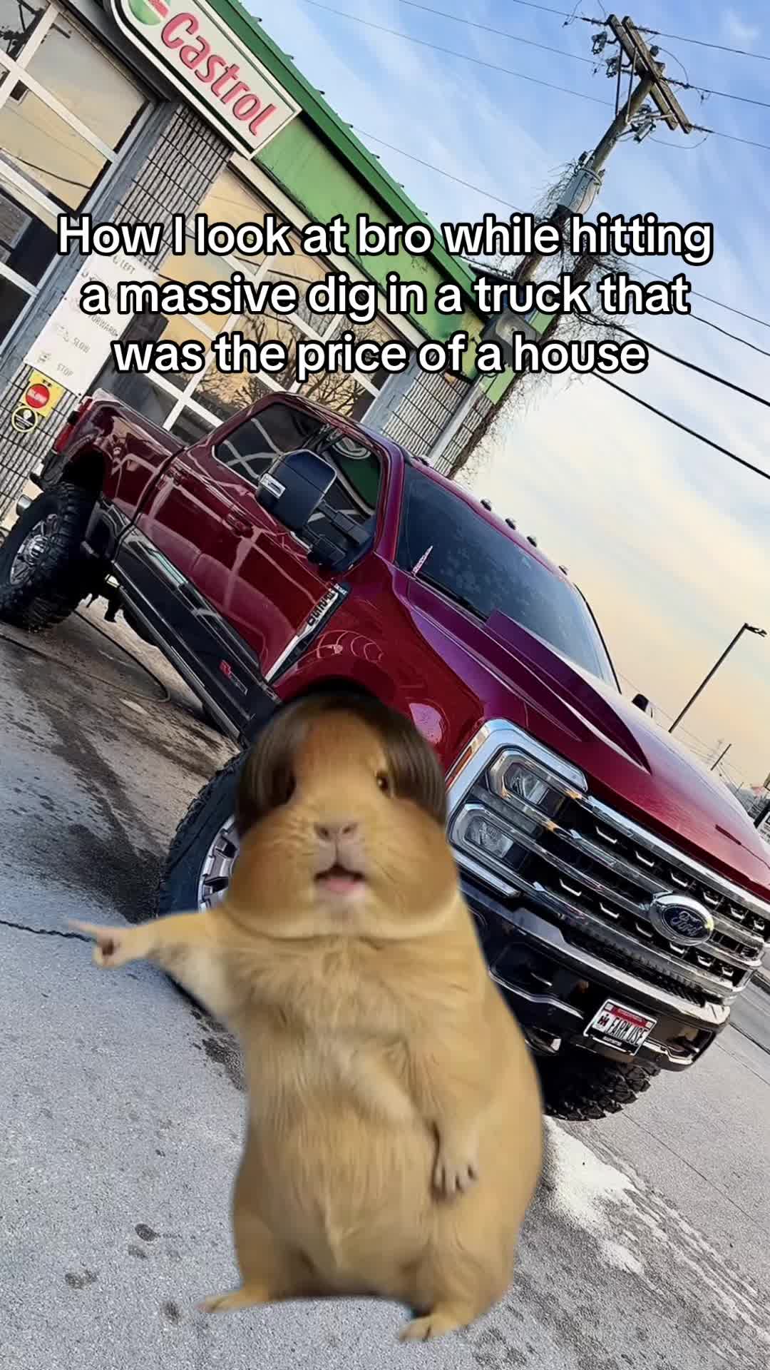 @KatieNoel