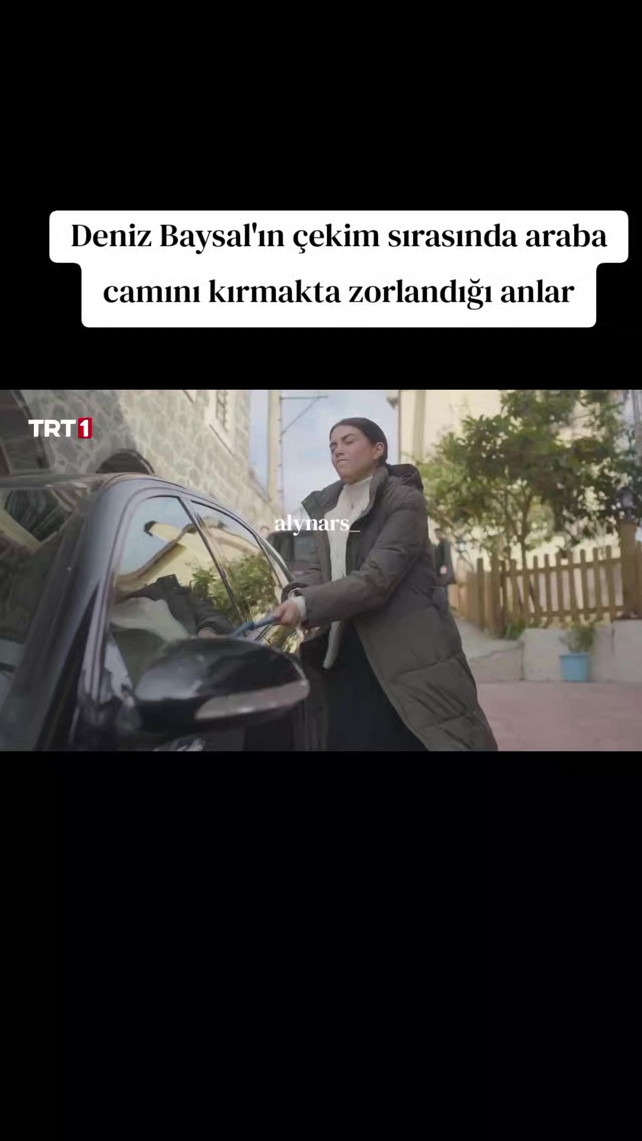 @alynars