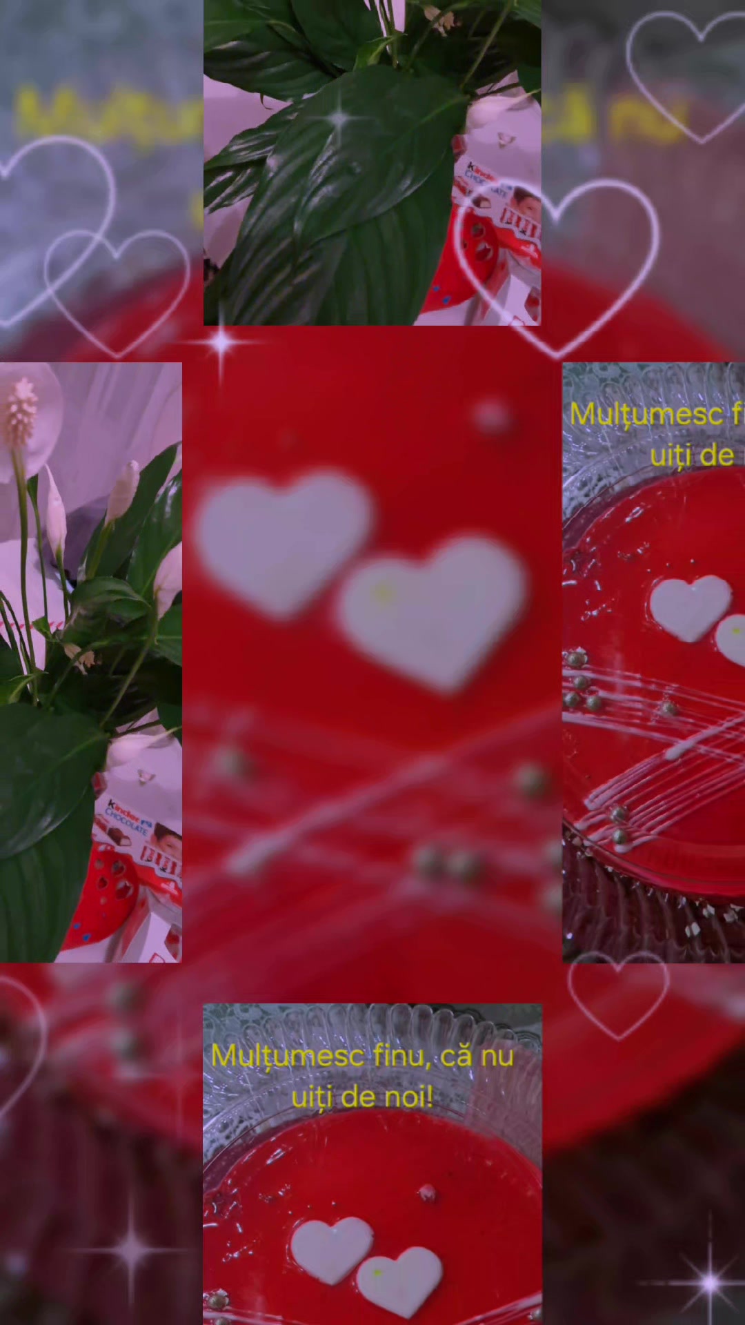 @Anastasia Enachi