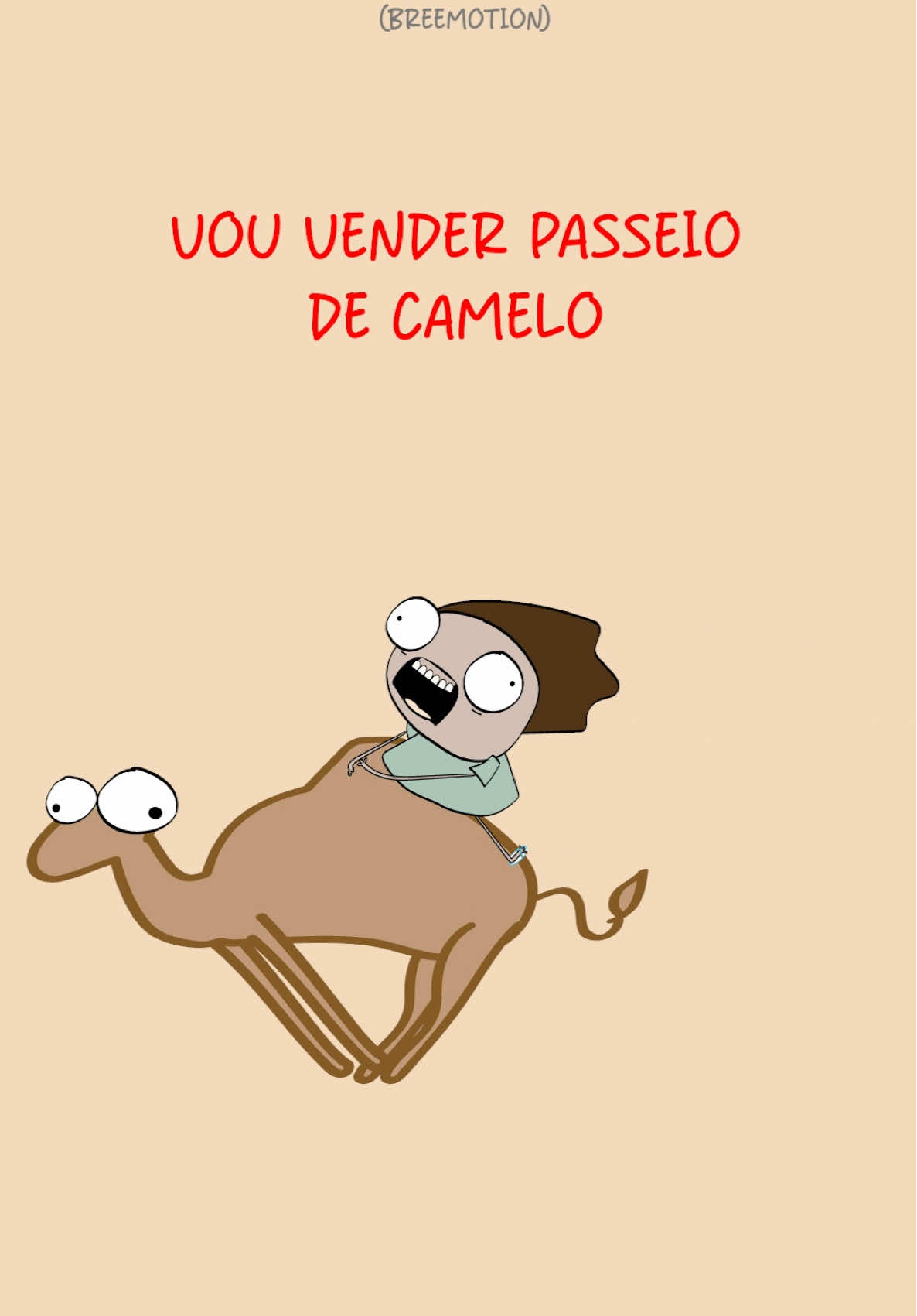 @brendaanimacoes